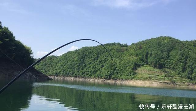 陡坡|夏季大鱼出没的4个位置,找好钓位,钓大物更简单
