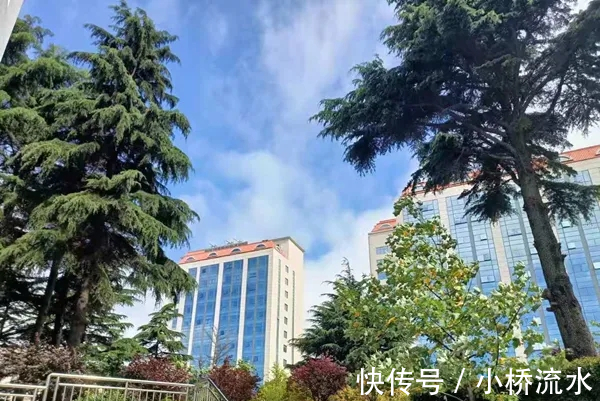 大户型|毕业季楼市观察:岛城“毕房族”瞄准的并不全是“刚需房”