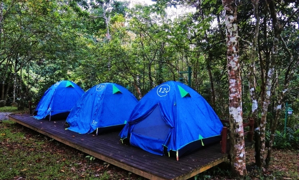 休闲|雨林观光、文化风情、休闲体验、健康养生——游呀诺达雨林文化旅游区