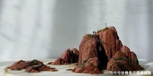 植株|大爷用石头、盘子来养花,布局造景,这就是山水盆景的魅力!