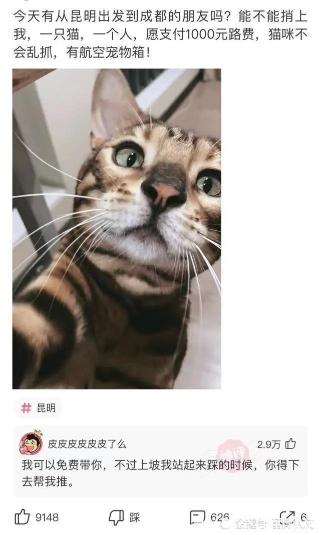 |沙雕段子：和同居3年以上的对象结婚是种怎样的体验？