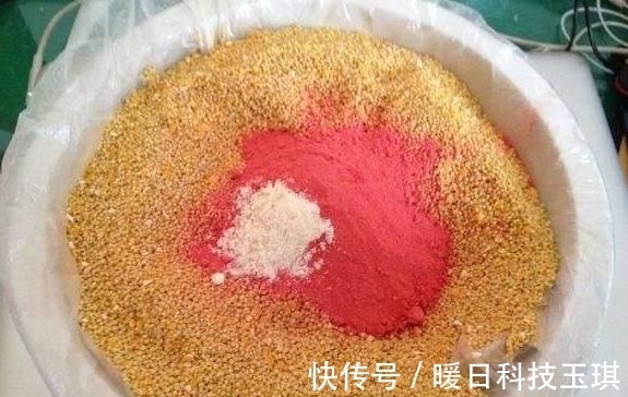 青草|野钓鲤鱼和草鱼,这两个打窝小技巧,能让诱鱼效果翻一倍