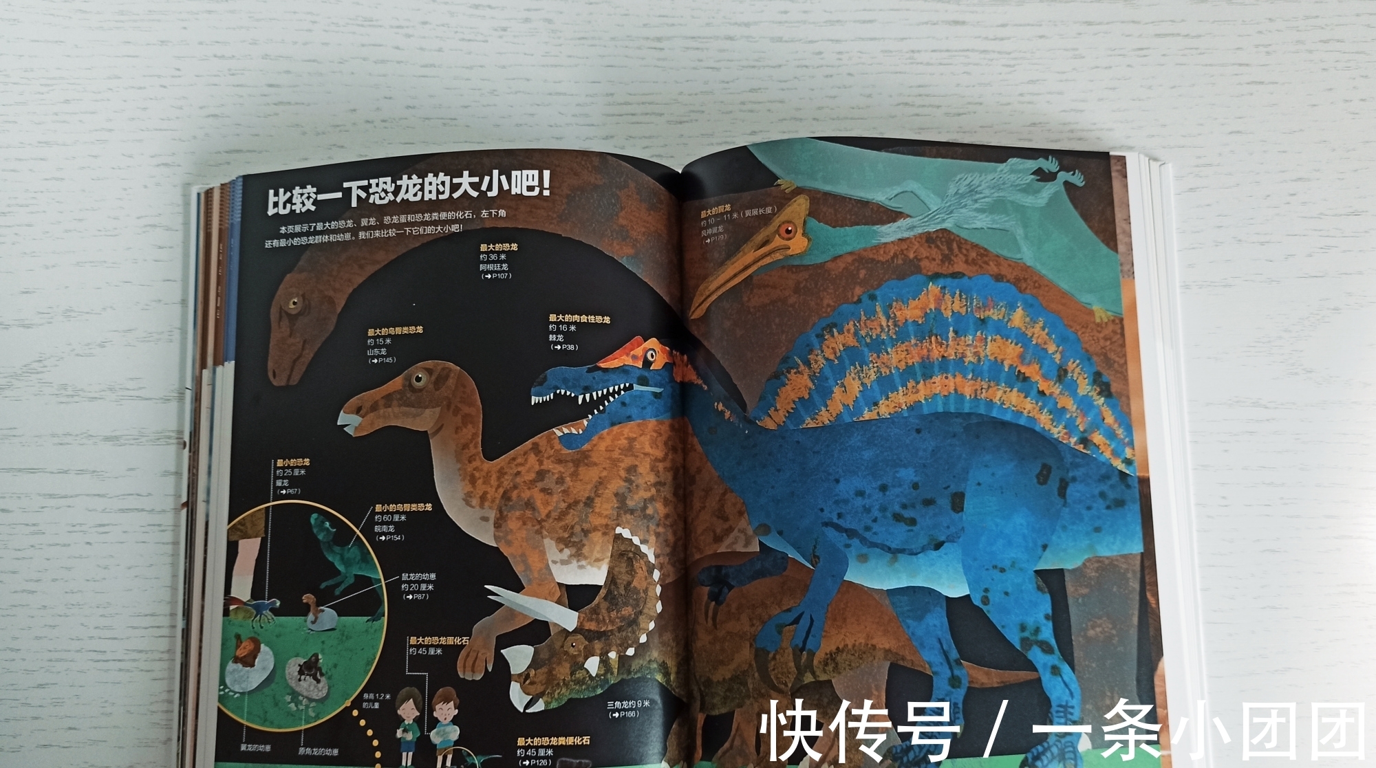 哆啦a梦#一本关于恐龙的百科书,让孩子爱上恐龙的世界