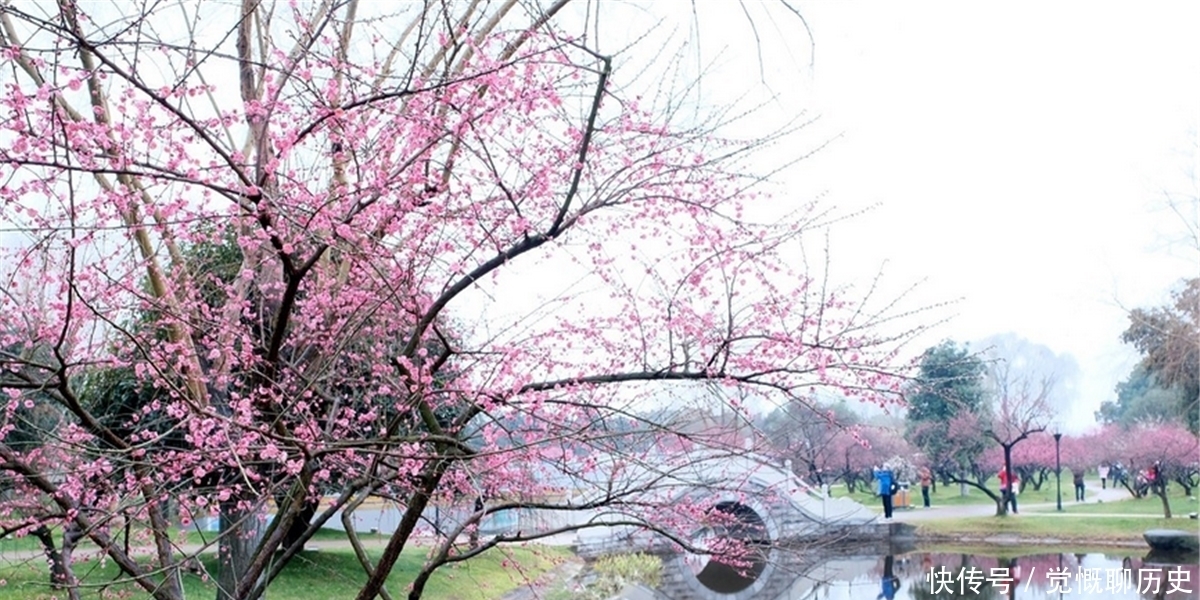  节气|俗语说：“十九年头7年寡，鼠年难逢双春年”，老祖宗智慧高深