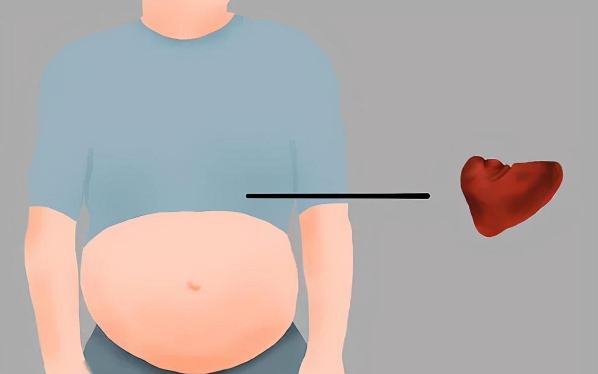 湿气|脾胃不好,舌苔白厚有齿痕、舌头有裂痕,该怎么调理?
