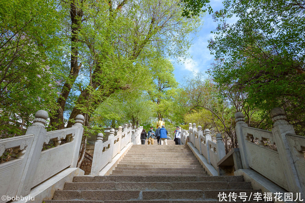 魅力|错的时间去了对的地方，一场太阳雨后，彩虹下目睹了塔尔寺的魅力