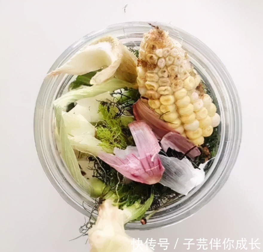 垃圾|一条内裤穿20年，厕纸晒干重复用，90后女孩几年省下一套房