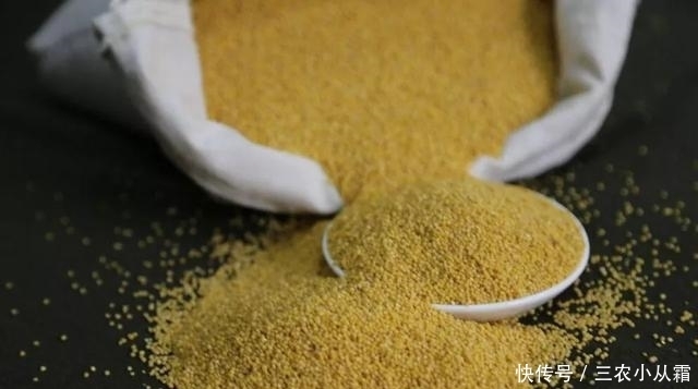 公开|钓鱼之鲫鱼三部曲2, 野钓鲫鱼注意事项, 鲫鱼窝料制作公开