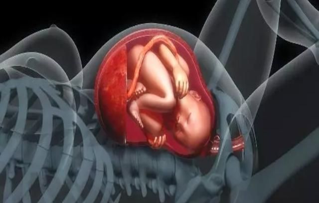 不好意思|顺产生娃最尴尬的就是“拉粑粑”,知晓原因才不慌,别不好意思看