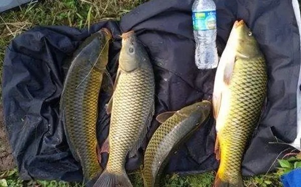 自从入秋后,最不该错过这3个钓位,但大部分钓鱼人都忽视了