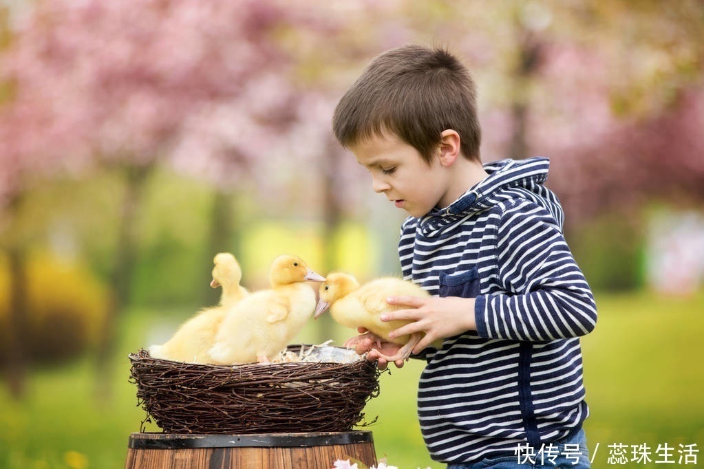 张奶奶|孩子在超市打碎一盒鸡蛋，店员要求10倍奉还，奶奶的做法很赞