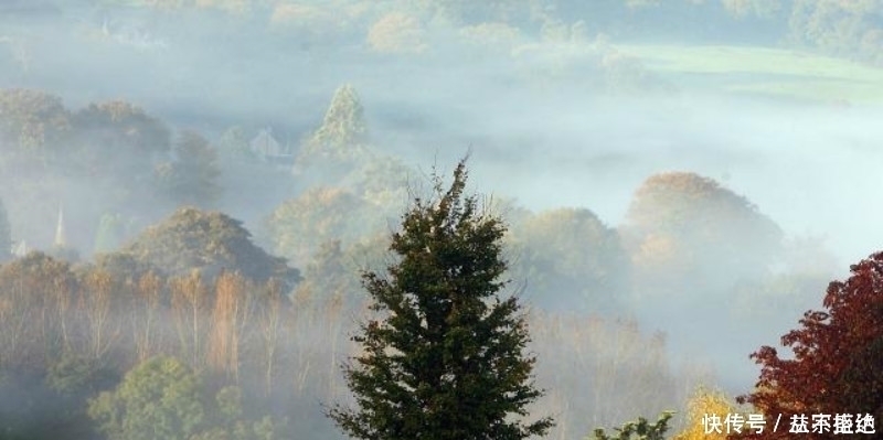李商隐|李商隐最令人绝望的一首诗,开篇就是千古名句,最后一句神来之笔