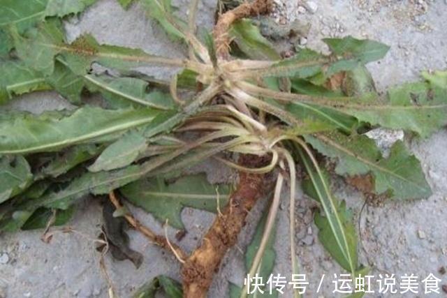 排毒素|害怕妇科炎症女性别慌,常喝3种水,排毒素、养子宫