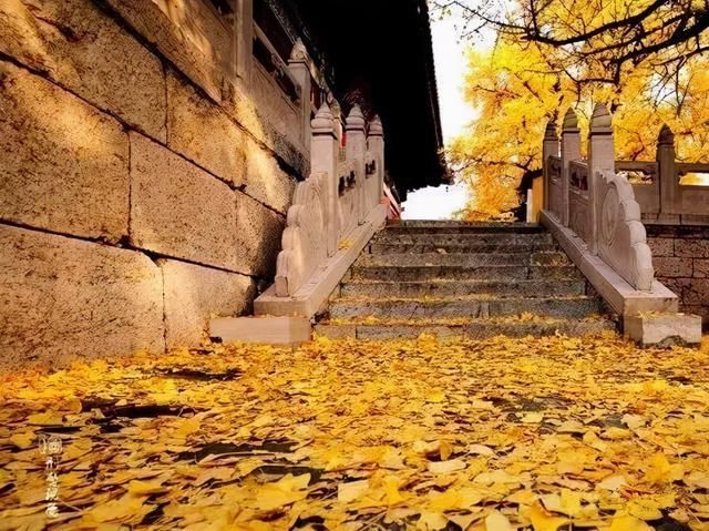 唐山|秋分已到，赏秋不必远行，唐山这些地方的秋景都超美!