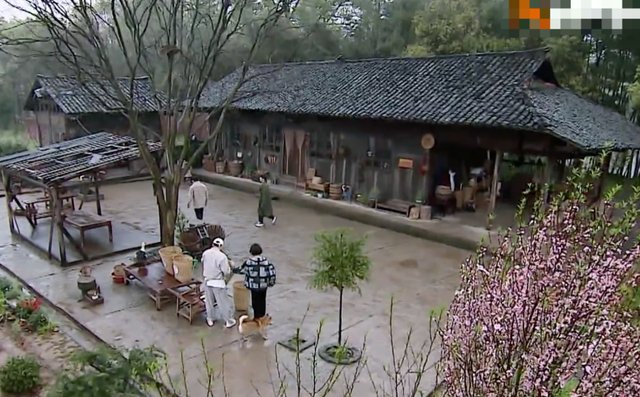 向往的生活|《向往的生活》蘑菇屋被曝光，改造后焕然一新，设备齐全环境宜人