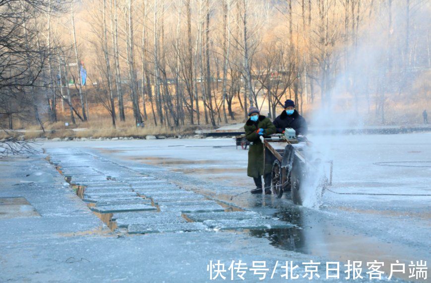 龙庆峡景区|龙庆峡取冰喽！冰灯冰雪季明年1月中旬开幕