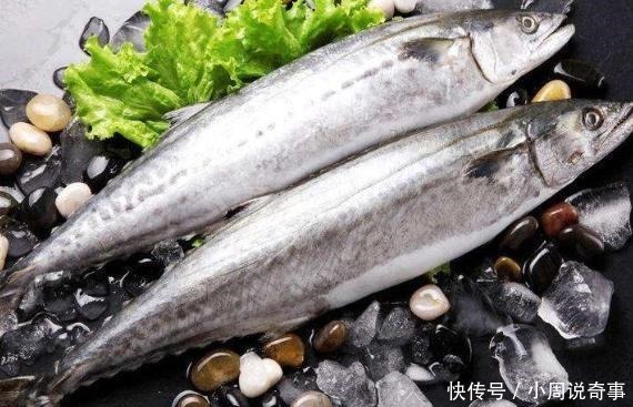 鲅鱼|冬天吃鱼就吃它，鲜美好吃肉多刺少，简单一炖香气四溢，真香！