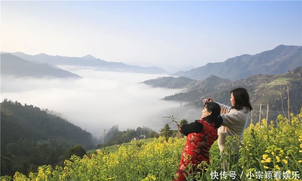 新安江畔，油菜花即将迎来最佳观赏期！