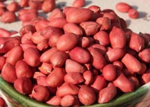 養生必備的食物，男女堅持吃，清熱解毒，消腫利尿，氣色更好