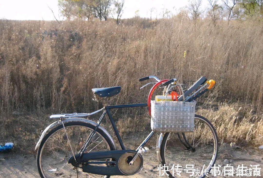 他野钓钓到六斤鲫鱼王，一看竟是“太监鲫鱼”这究竟是谁的功劳