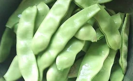 阳荷|想长寿要多吃四种食物,补充营养、改善体质,有益健康