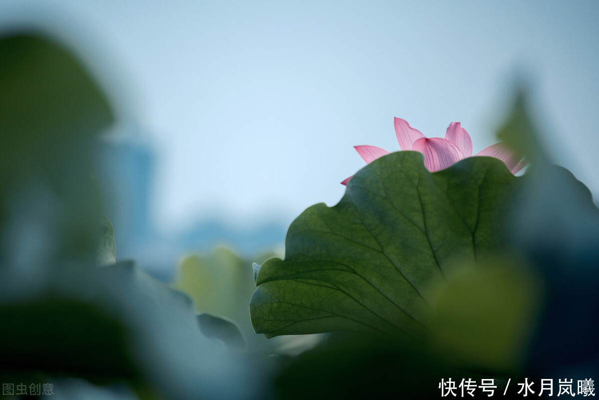 相思|晓看天色暮看云,行也思君,坐也思君。用一首古诗词说:我想你了