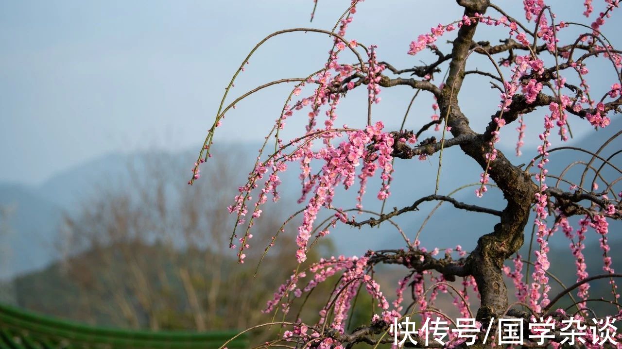 格言@《增广贤文》10句格言，感悟人生智慧