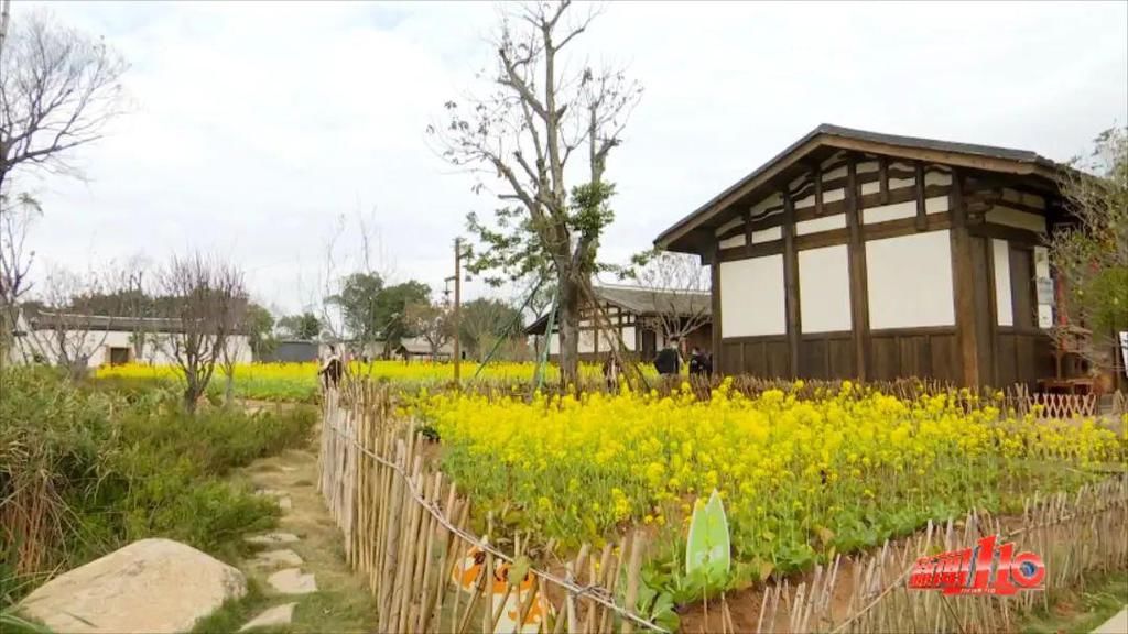 老年|假期余额不足，快去赏花！（附攻略）