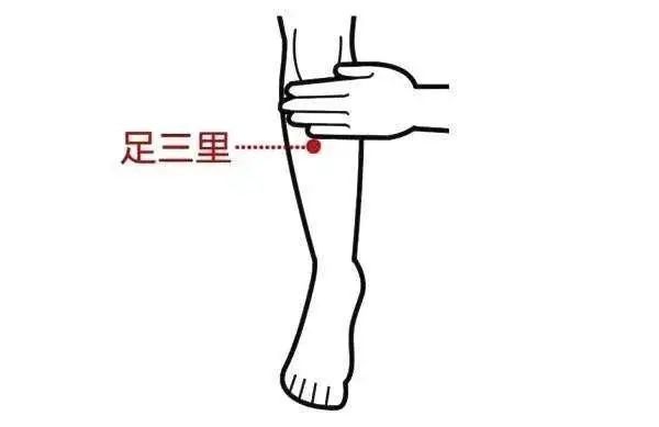 山楂|脾胃伤则百病生,教你几招养好脾胃!