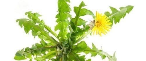 硫氰酸盐|有甲状腺结节,4物快拉入黑名单,常喝天然散结水,结节或消得快