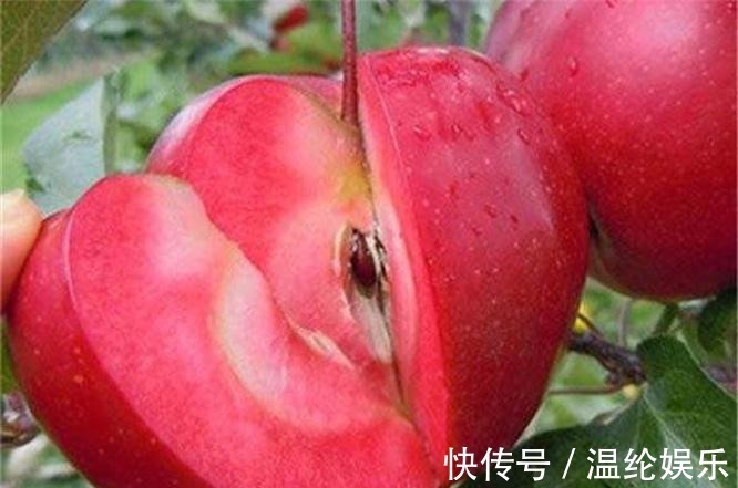 香蕉|女人不想显老,不妨多吃三种水果,能抗衰老,消除体内多余脂肪