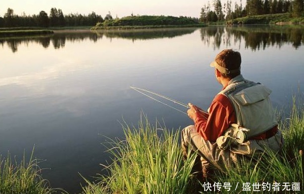 子线|夏季如何垂钓?做到这几点，收获满满——盛世三渔