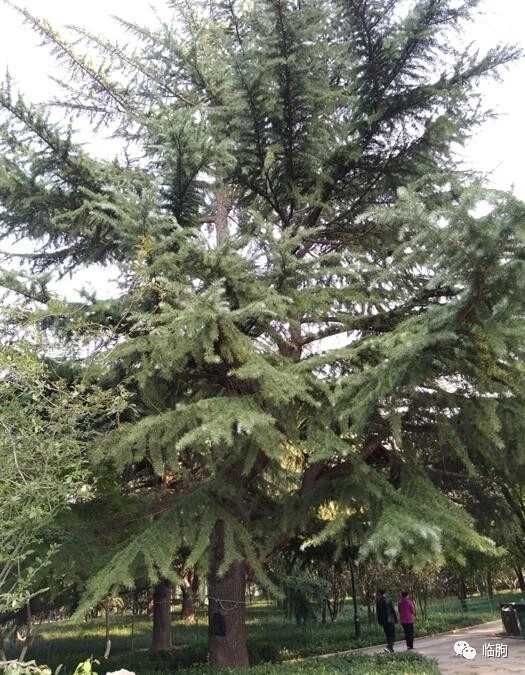 老年|青未了｜百花公园与孝文化博物馆