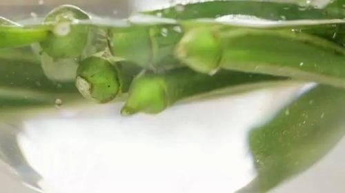 响油秋葵，这可能是最好吃的秋葵做法！