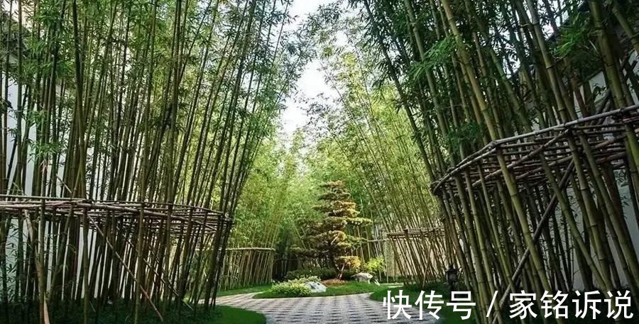 房子|这套价值10亿的房子, 让人瞠目