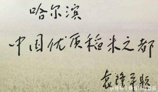 科学|袁隆平书法:他的书法质朴厚道,风骨遒劲透露书卷气