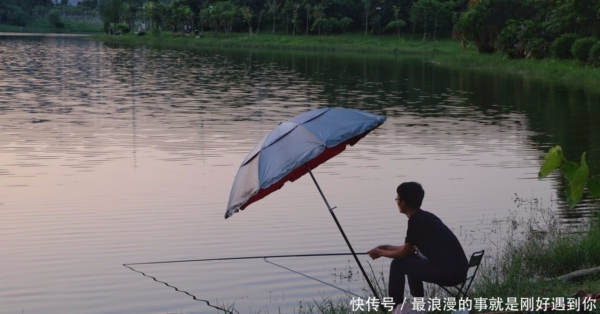 饵料|为什么太阳出来后，鱼就停口了？解析温度升高水中缺氧的作钓技巧