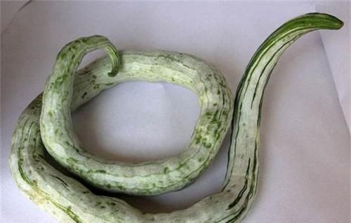 营养成分|女性到了中年,适合吃三种食物,补血益气,延缓衰老,有益健康!