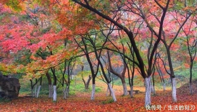 这个秋天，最值得拥有的地方，我们一路同行！