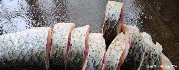 鱼肉我最爱这种做法，香味浓味道好，好吃又下饭，看着都想吃