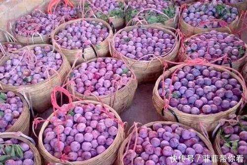 九江双蒸酒|让人无法抗拒的5种特产美食,作为地道广东人,你都吃过了吗?