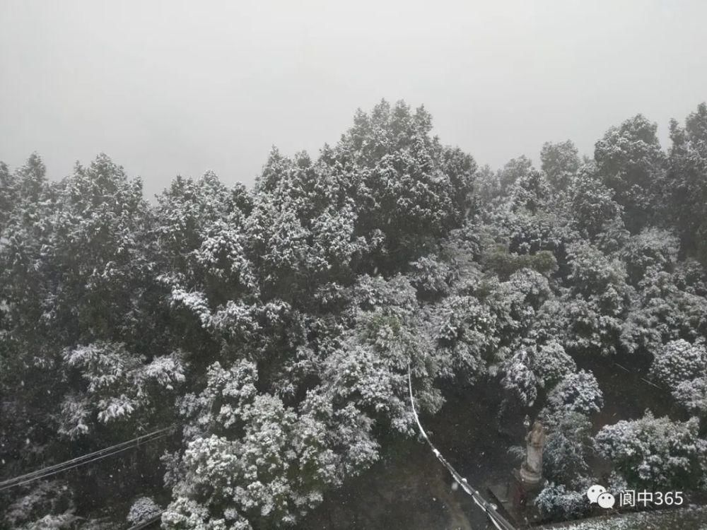 妙高镇金城山雪景图