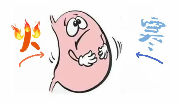 寒则热之热则寒，中和用药解胃炎|大白话说中医第一百五十四期| 寒症