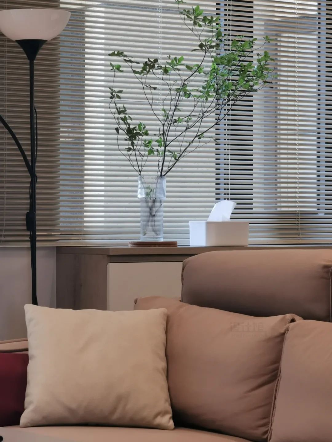 千年木|哪些可以提升空间质感的绿植?这10种绿植摆在家里,空间很有气质