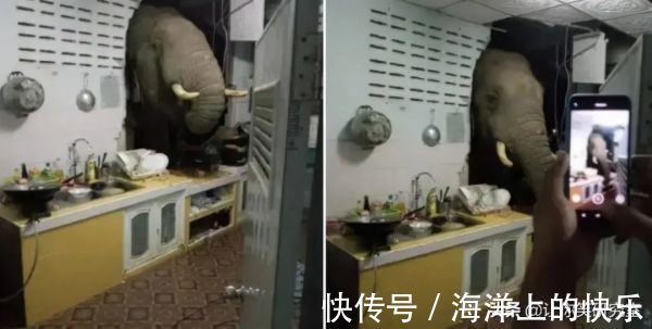 |大侠后宫:搞笑女是怎么去相亲的?哈哈被网友骚操作整不会了