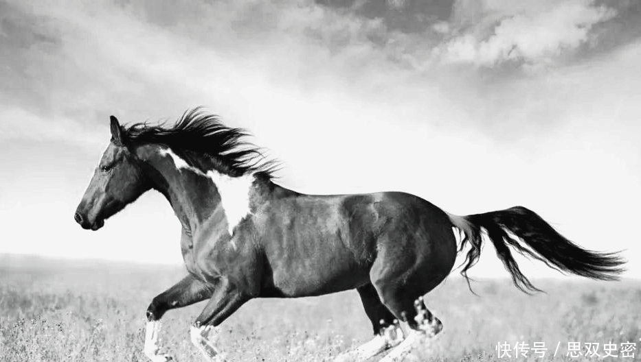 封神演义10种马:主人有王侯将相神仙妖魔,