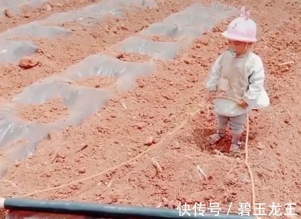 力气|“小奶嘴宝宝”下地干活火了,为了这个家也是操碎了心