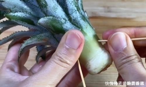 吃剩下的“菠萝头”不要扔,插3根牙签,放在家里太棒了,快学学