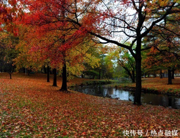 英国男子不爱出门，却酷爱养植物，花费5.4万人民币打造室内丛林