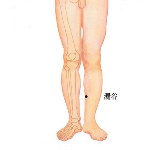 老中医|脾,后天之本!老中医带你品味人体脾经大药!补脾通络,胜吃补药